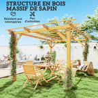 Solarias Pergola de jardin extérieur 3 x 4 m pergola en bois pour plantes grimpantes, bois naturel