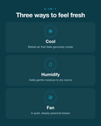 AirFlow 3-in-1 portable air cooler