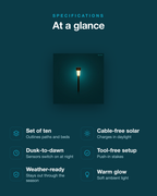 set-of-10-decorative-solar-garden-lights